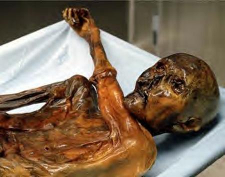 La malediction d'OTZI