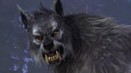 La peur du Loup-Garou