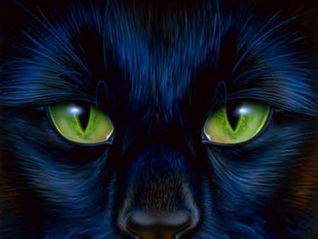 Le chat noir de Killakee