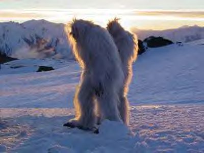 Les hommes qui virent l'abominable homme des neiges