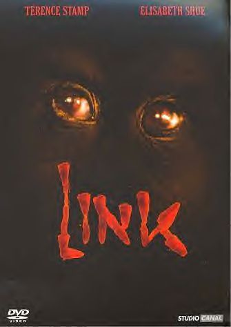 Link